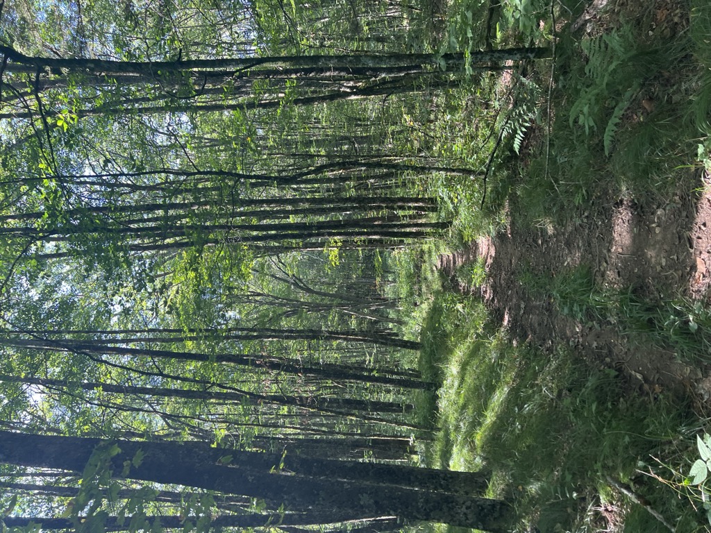 Photo №2 of Beech Gap