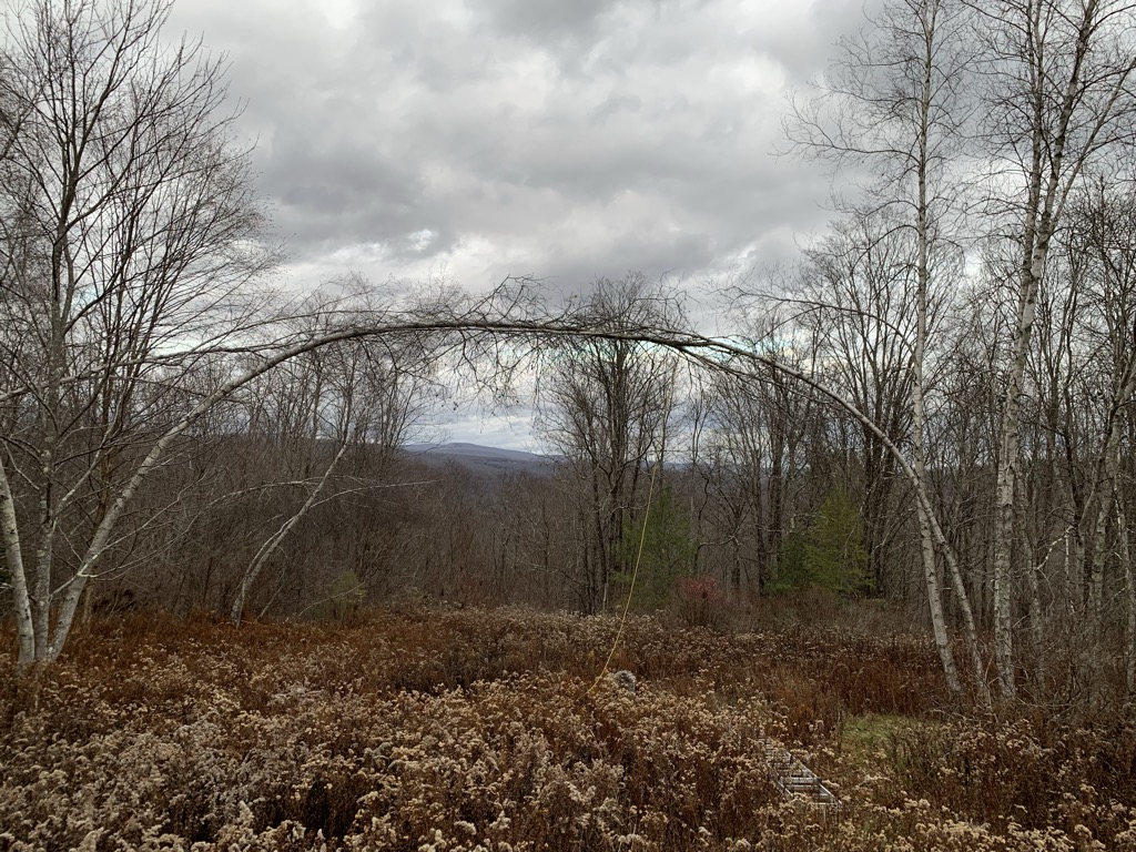 Photo №1 of Beech Mountain