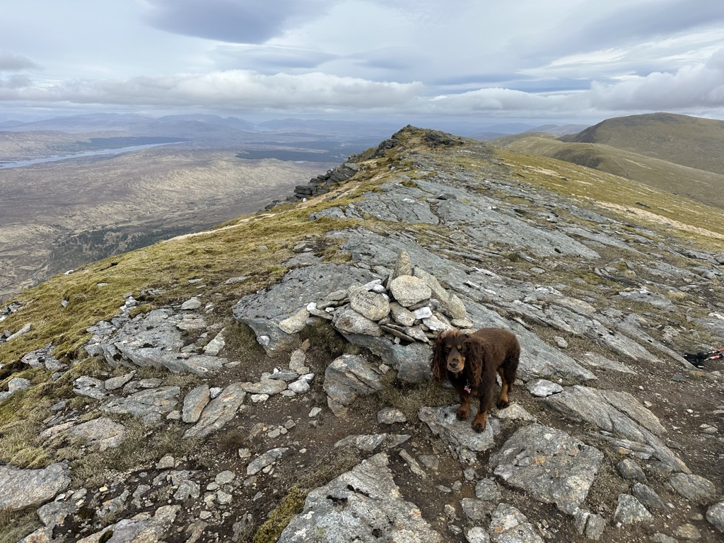Photo №1 of Beinn Achaladair
