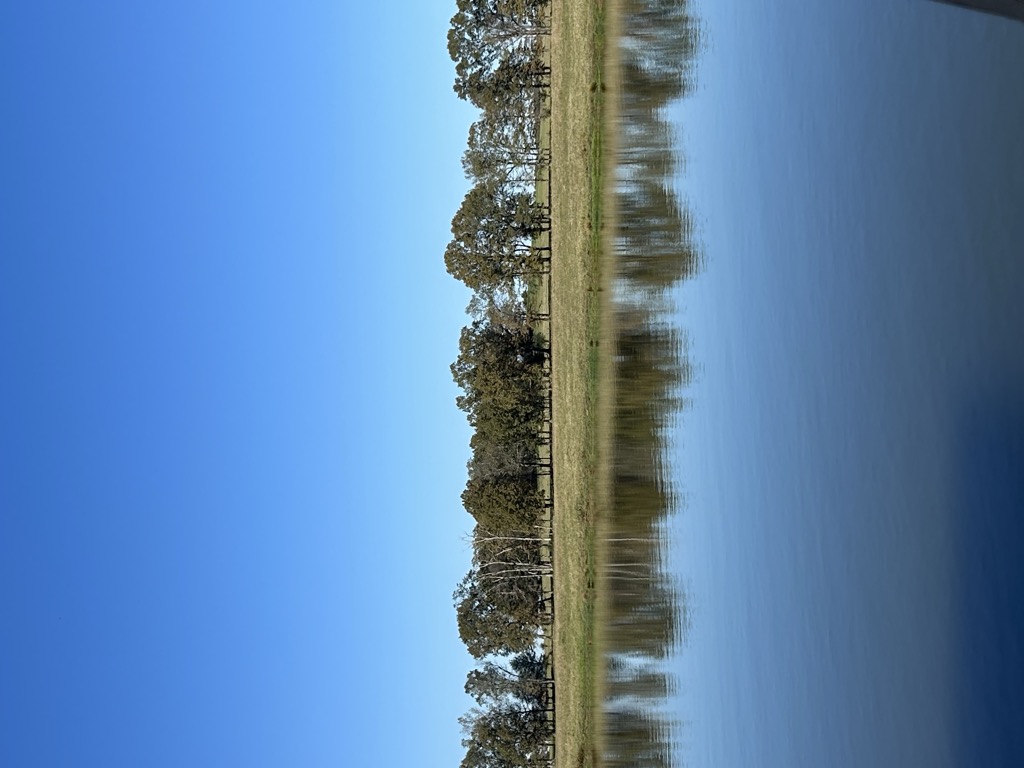 Photo №1 of Bell Hill