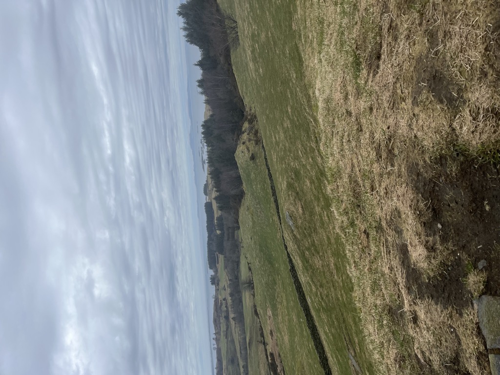 Photo №3 of Bergevarden