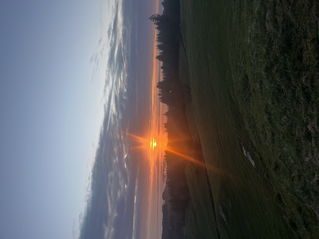 Photo №2 of Bergevarden