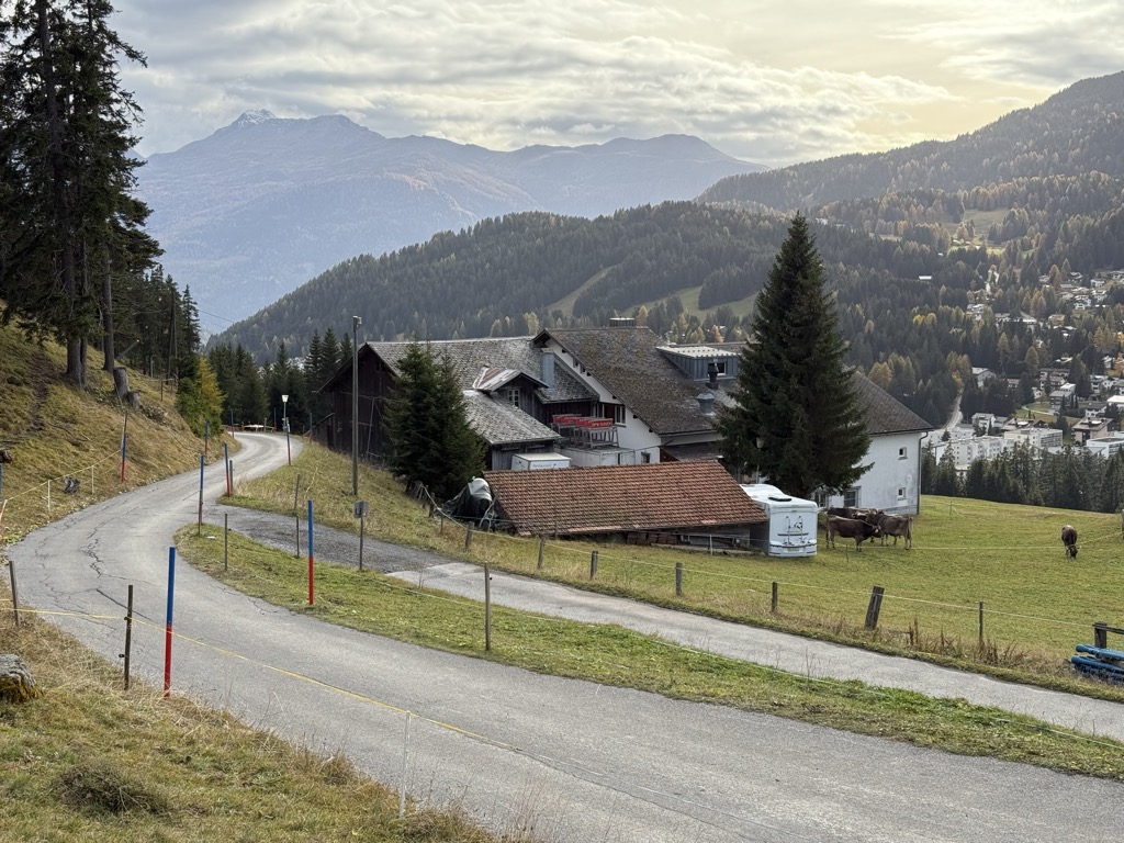 berggasthaus-crest-ota