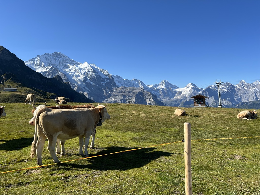 berghaus-mannlichen-1