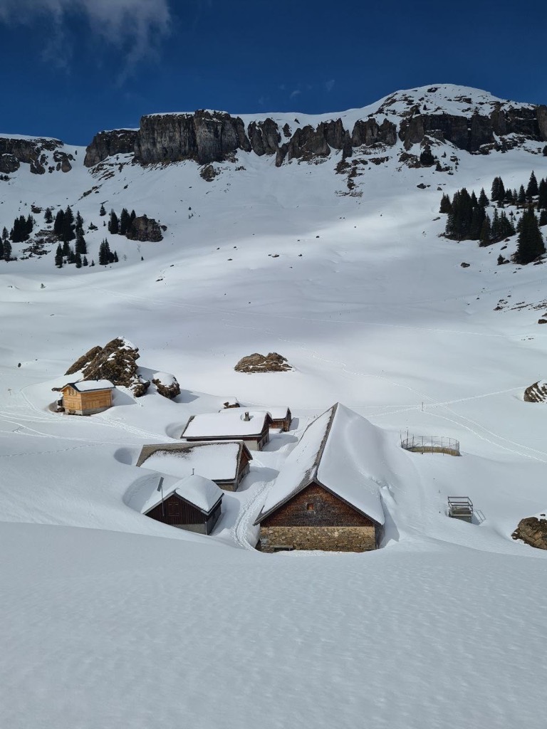 berghotel-schonhalden