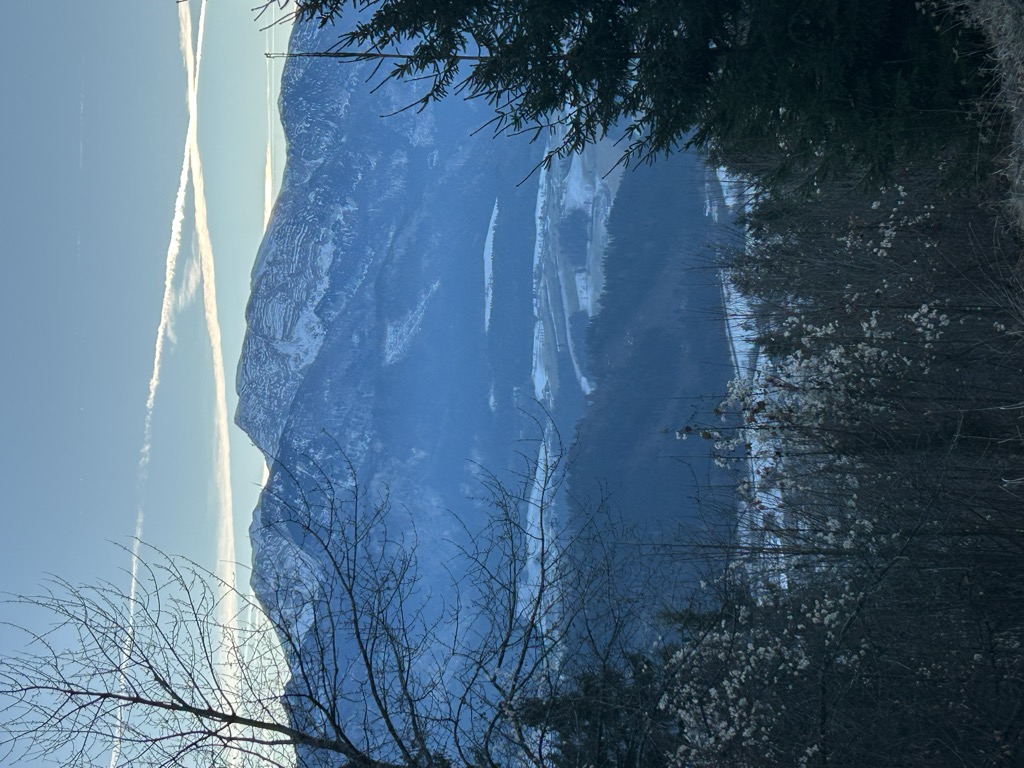 bergrestaurant-am-wurbauerkogel