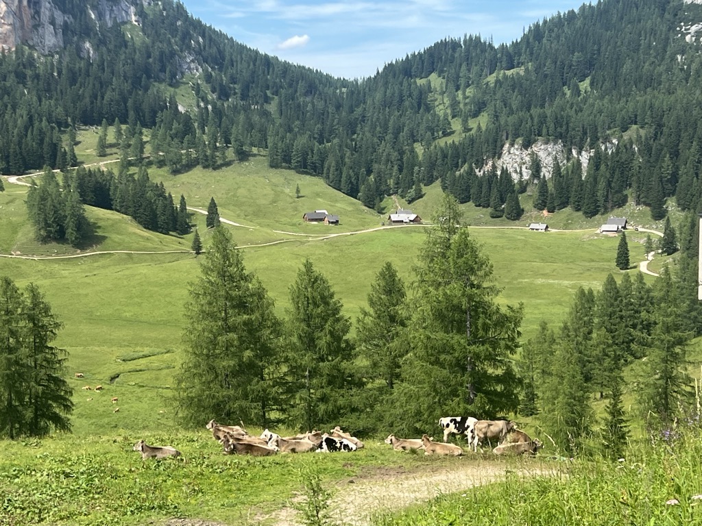 bergrettungshutte