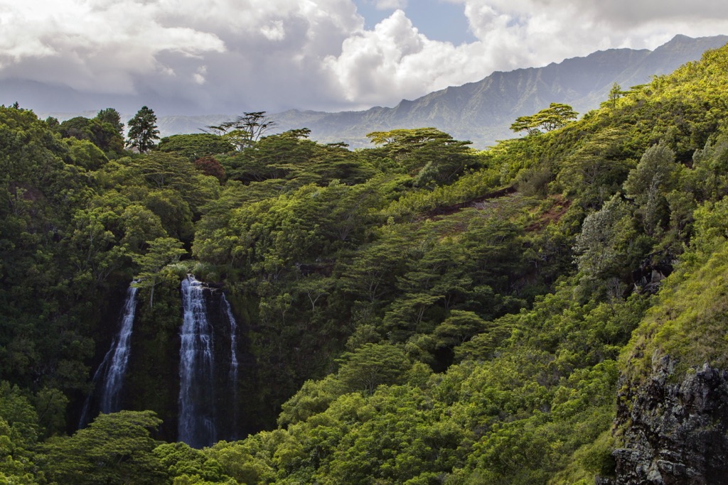 Beste Wanderungen. Opaekaa Falls, ein Blick auf den Regenwald im Hochland von Kaua'i
