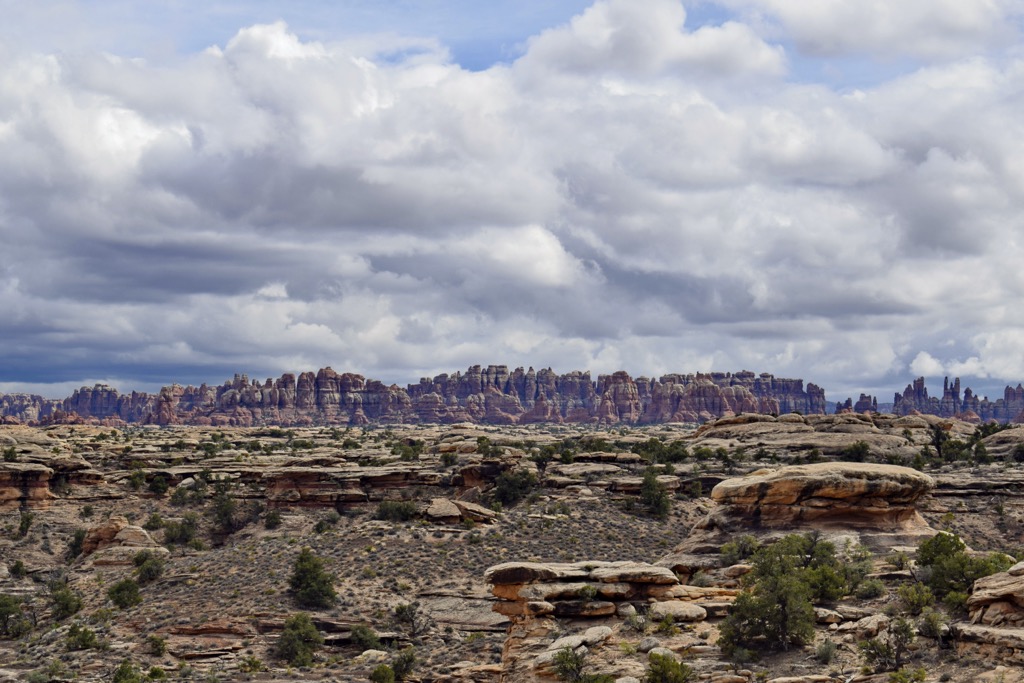 Best hiking.  You can see why the Needles District is named the Needles District.