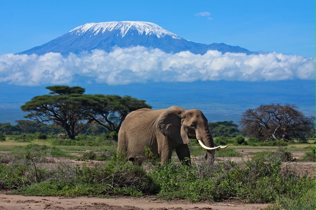 Best hiking. Mount Kilimanjaro