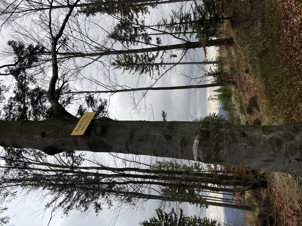 Photo №1 of Biały Krzyż