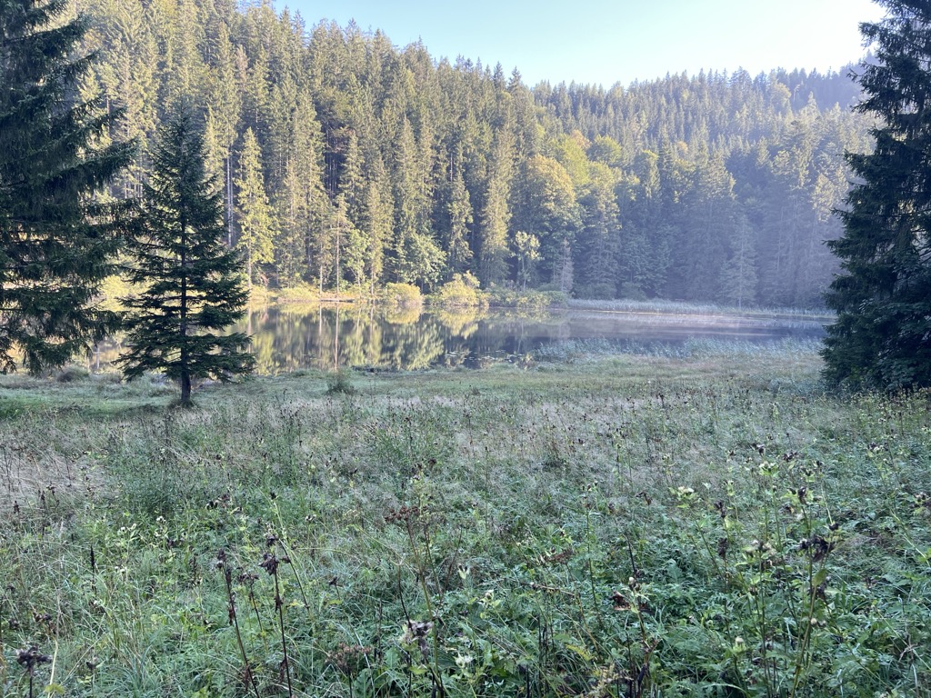 Photo №2 of Bichlersee