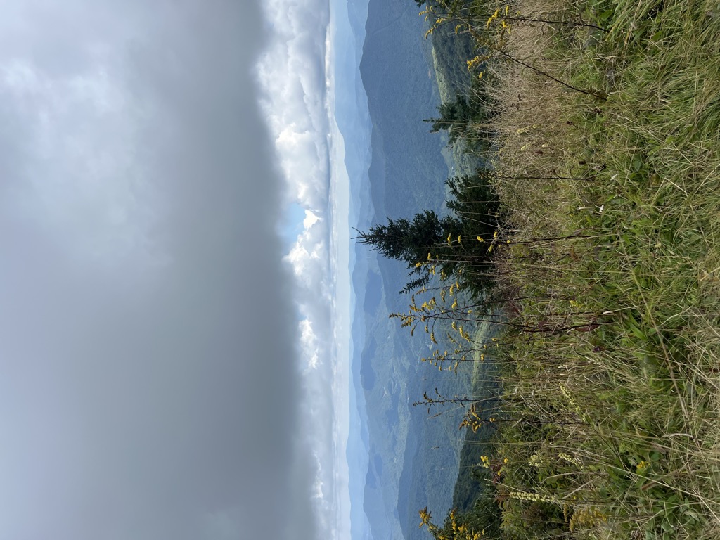 Photo №1 of Big Bald