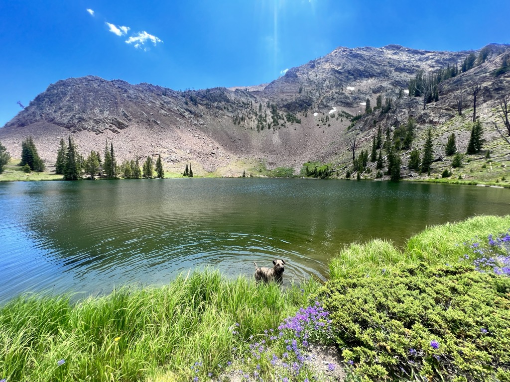 Photo №2 of Big Fall Creek Lake