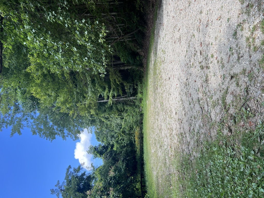 Big Fat Gap