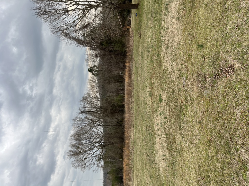 Photo №1 of Big Knob