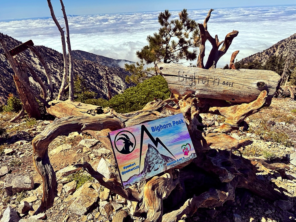 Photo №1 of Bighorn Peak