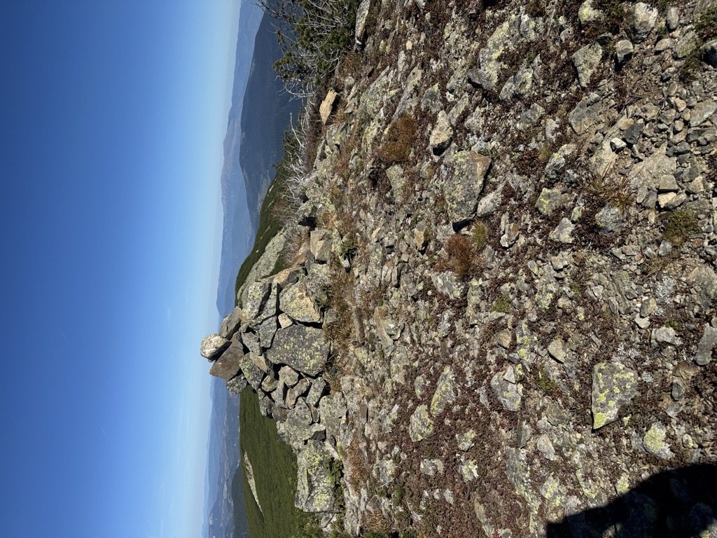 Photo №1 of Bijela gromilica