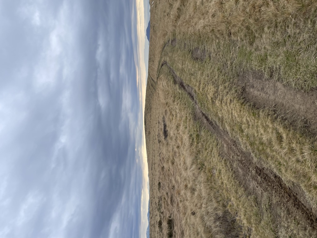 Photo №1 of Bilynska