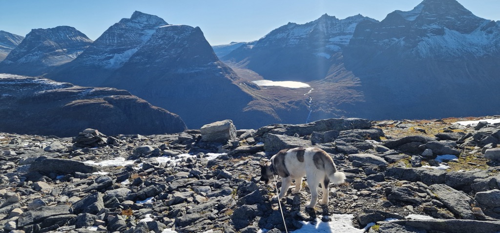Bjøråskaret