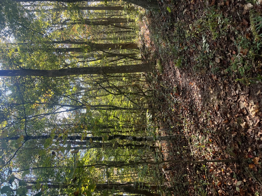 Photo №1 of Black Mountain