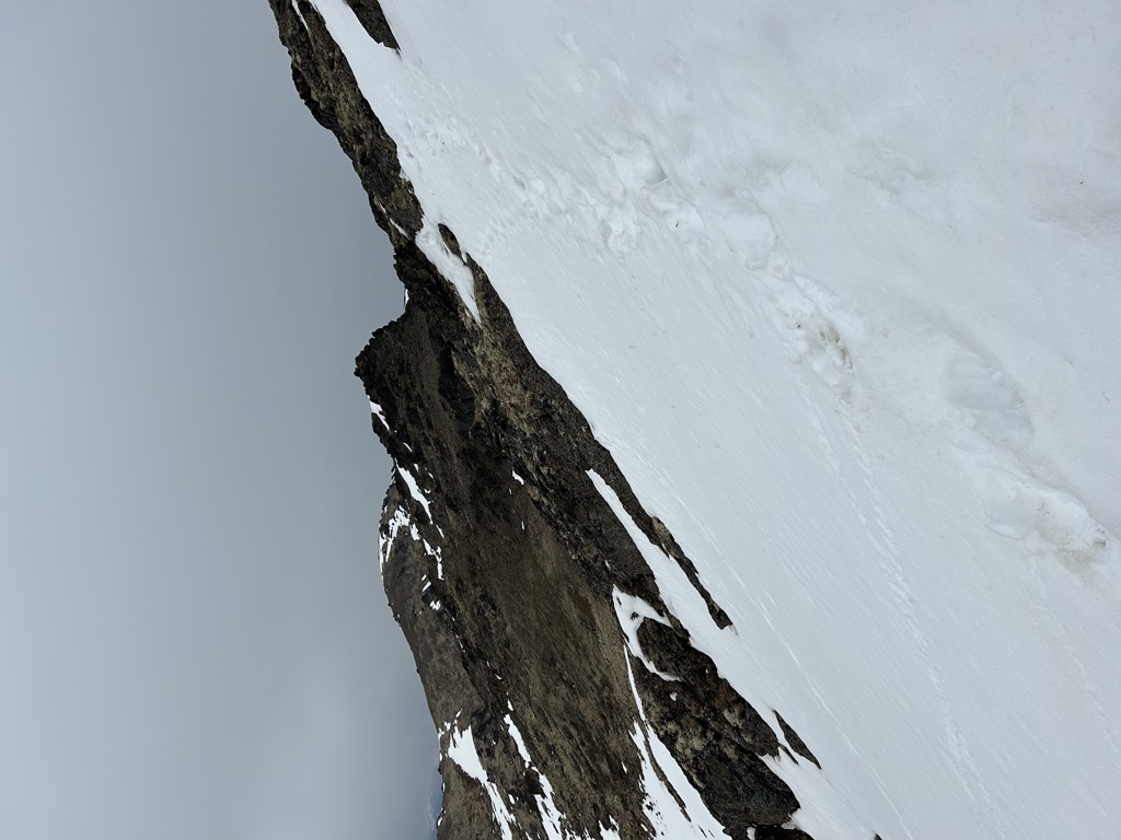 Photo №1 of Blacktail Ptarmigan Rocks