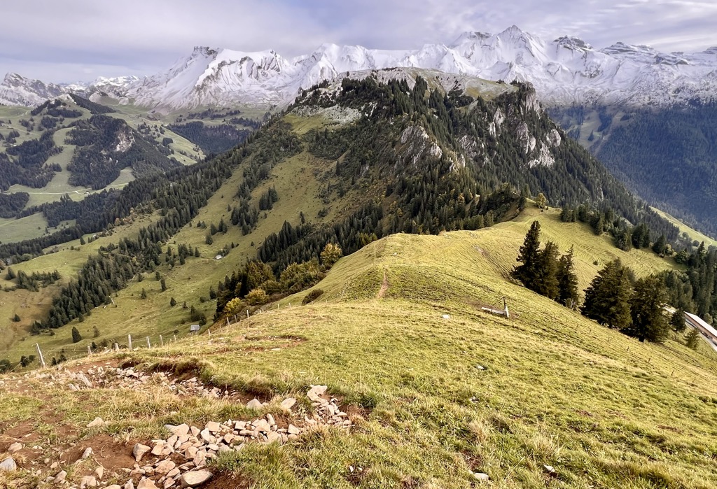 Photo №2 of Bleikigrat