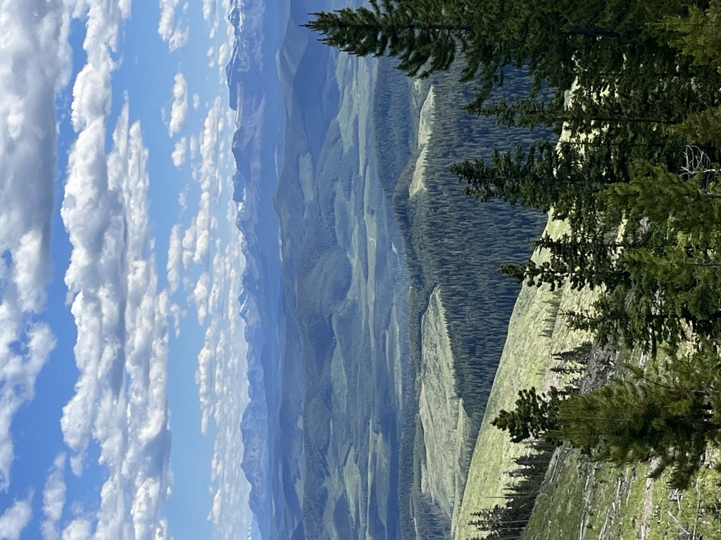 Photo №1 of Blue Hill