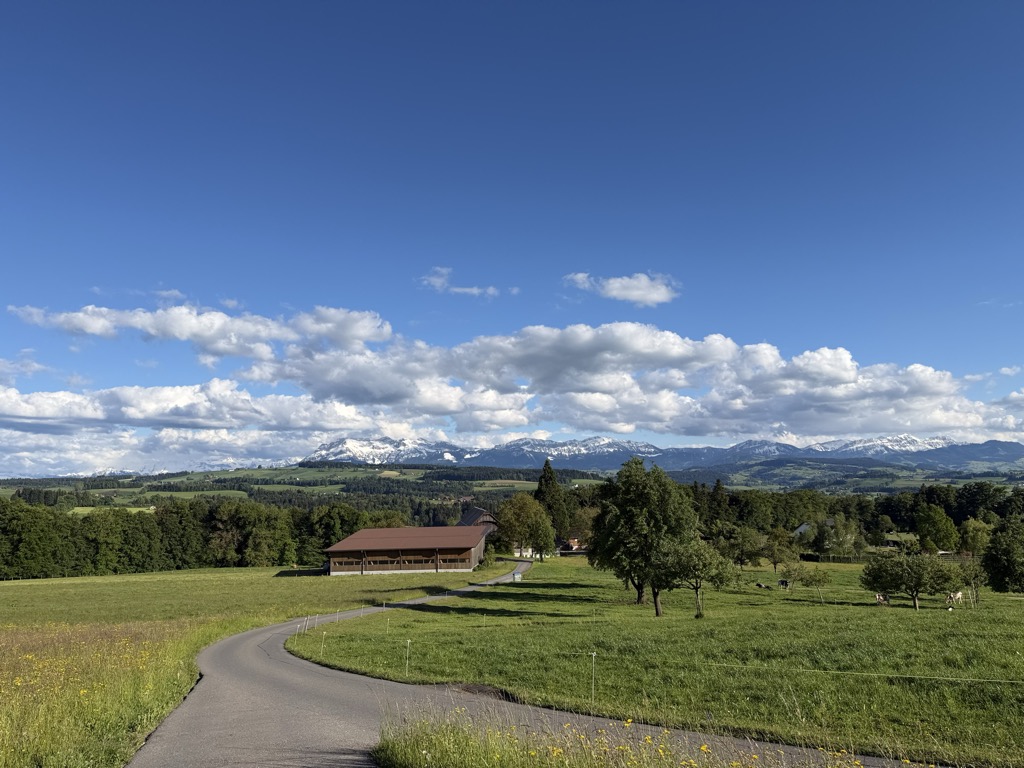 Photo №2 of Bluemeberg