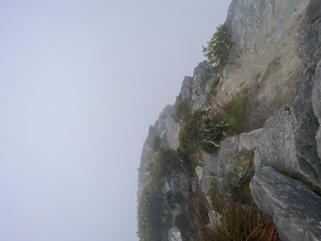 Photo №1 of Bluff Knoll