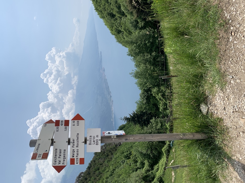 Photo №4 of Bocca Larici