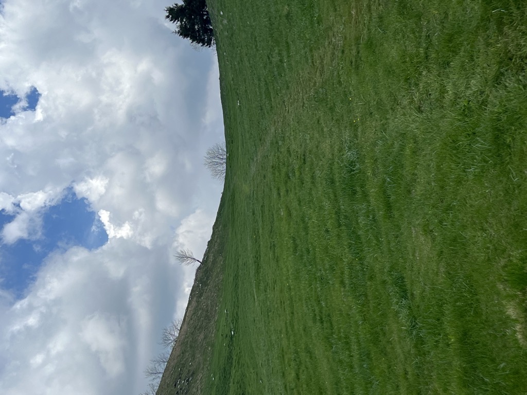 Photo №2 of Bocca Dromaé