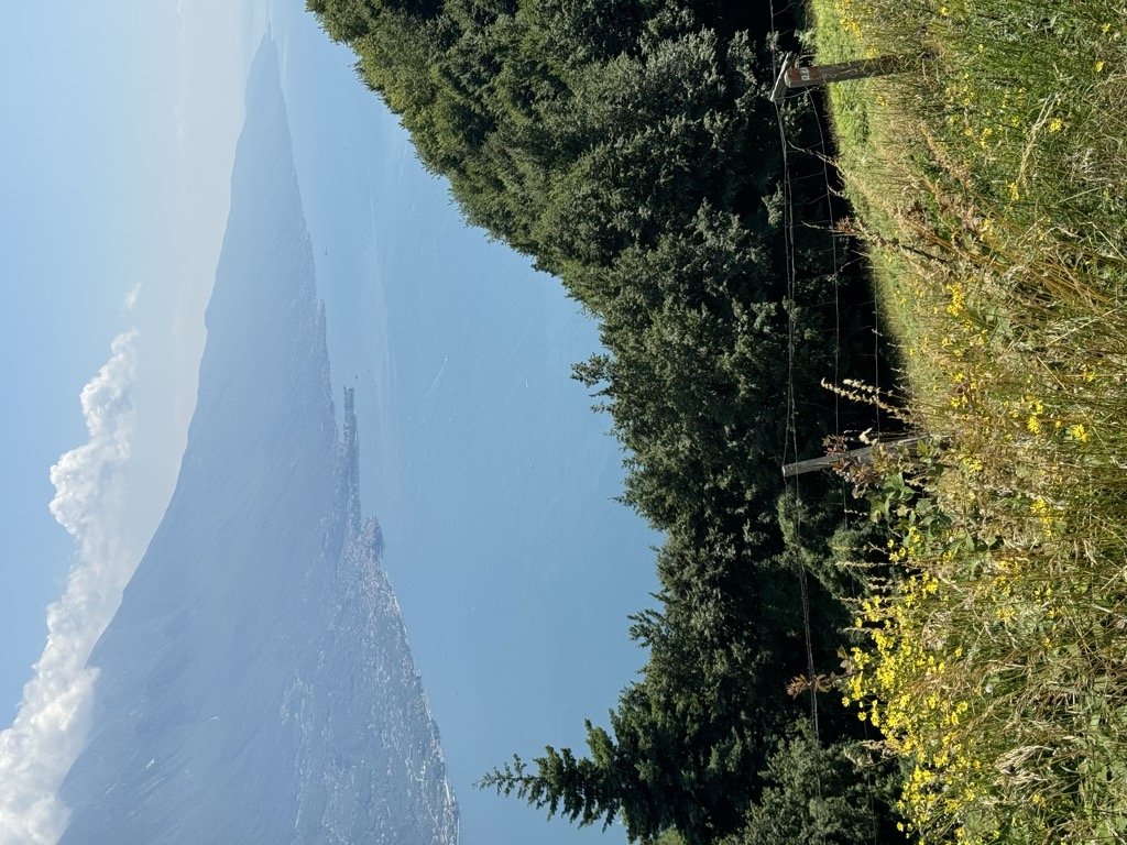 Photo №2 of Bocca Larici