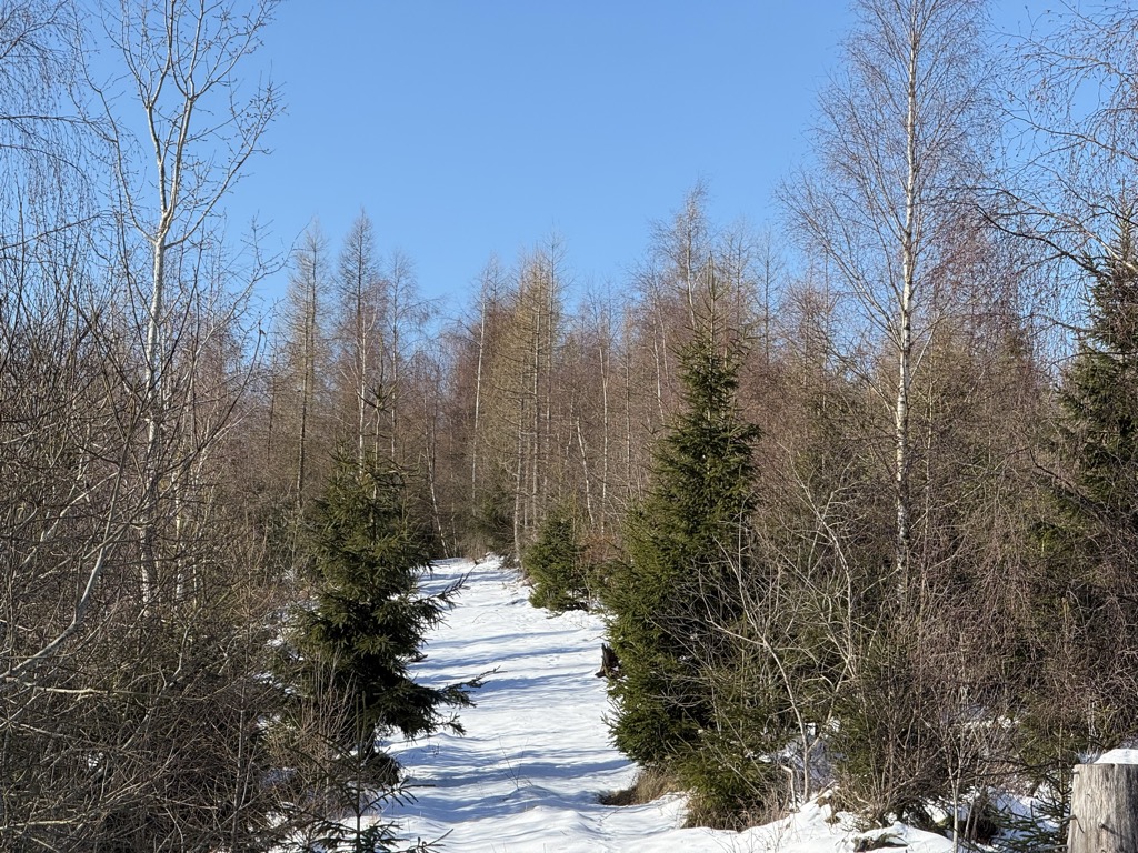Photo №2 of Boden