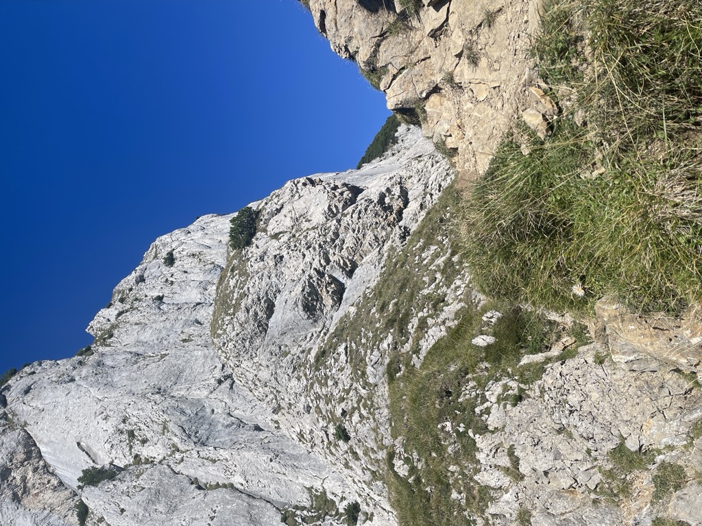Photo №3 of Bogartenlücke