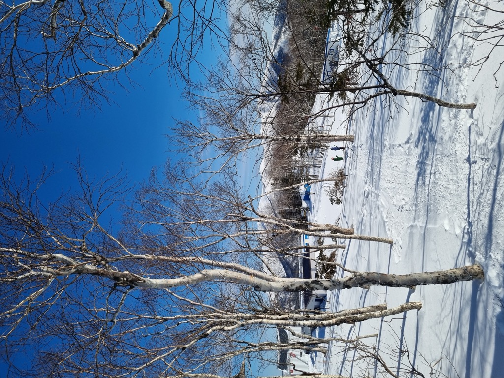 Photo №2 of Bolshevik