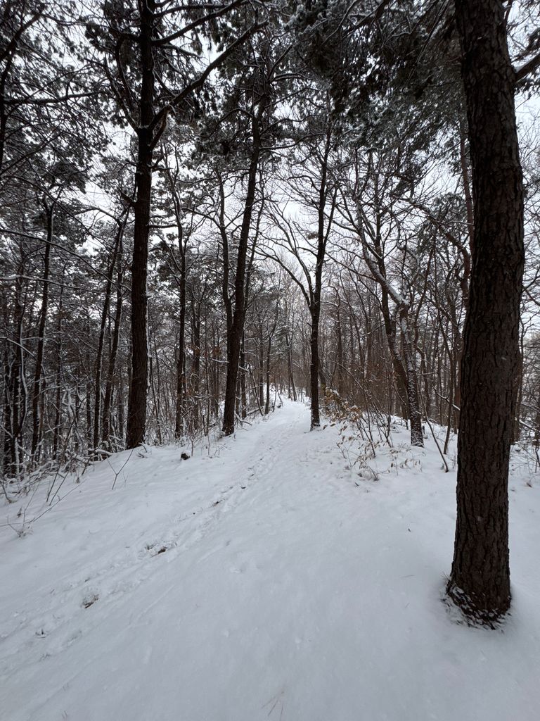 Photo №5 of Bongseosan