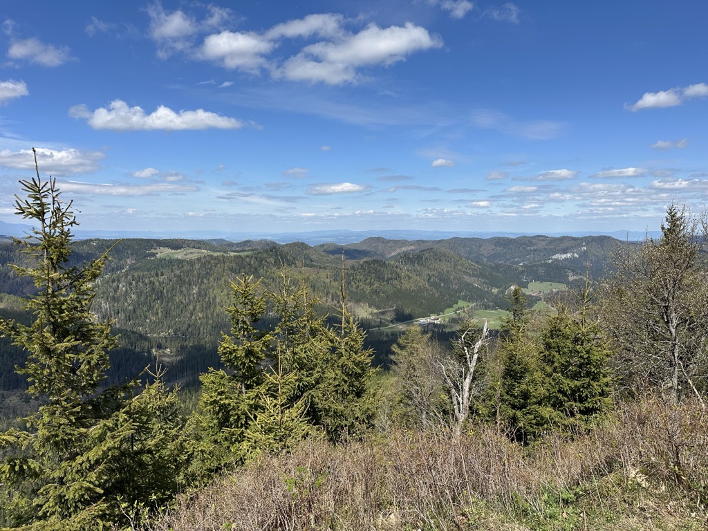 Photo №1 of Borovniak