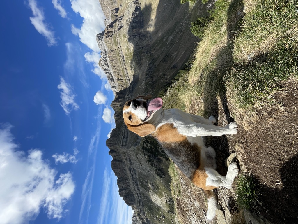 Photo №3 of Borreguil d'a Cuca