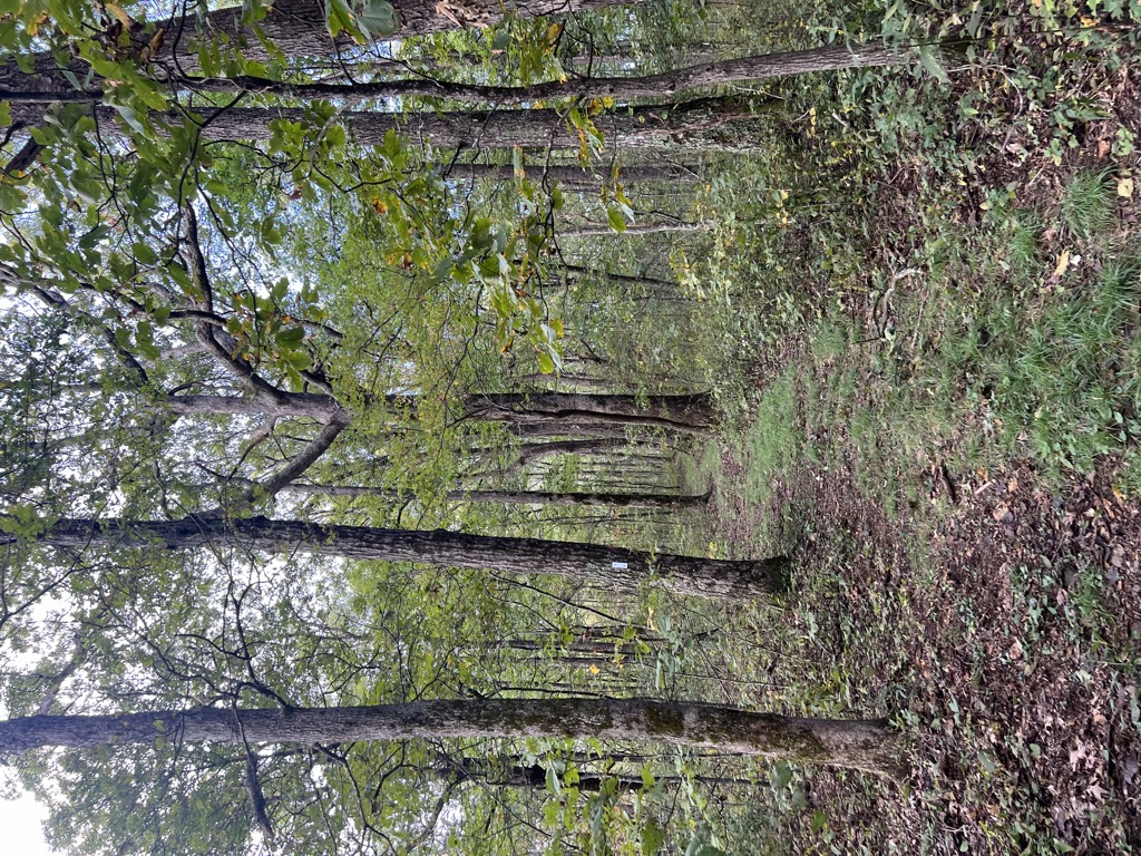 Photo №1 of Brady Mountain