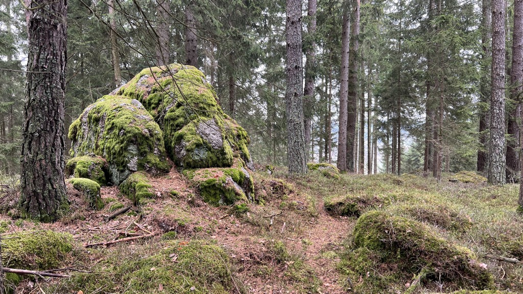 Photo №1 of Braunberg