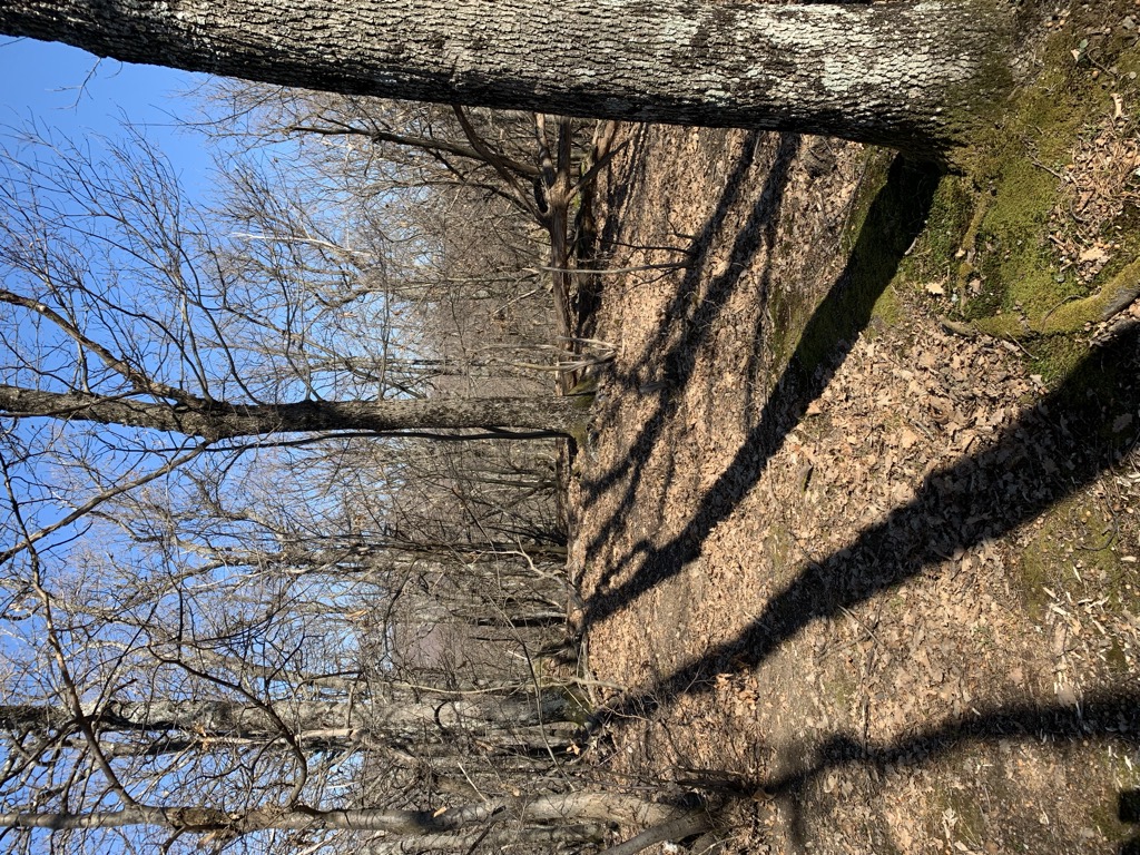 Photo №1 of Brebak