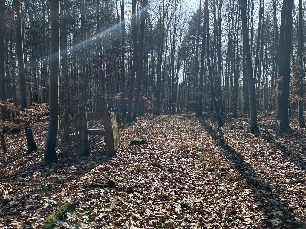 Photo №2 of Breitenberg