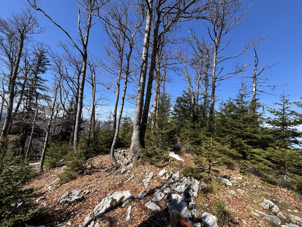 Photo №1 of Breitenberg