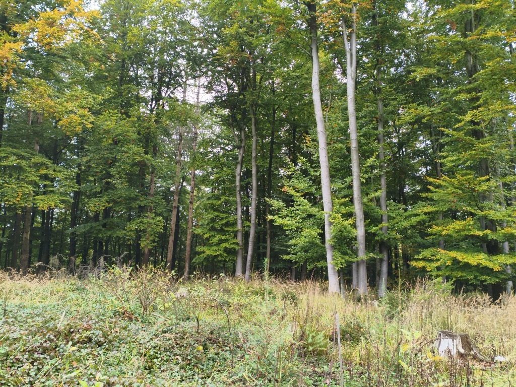 Photo №3 of Breitenberg