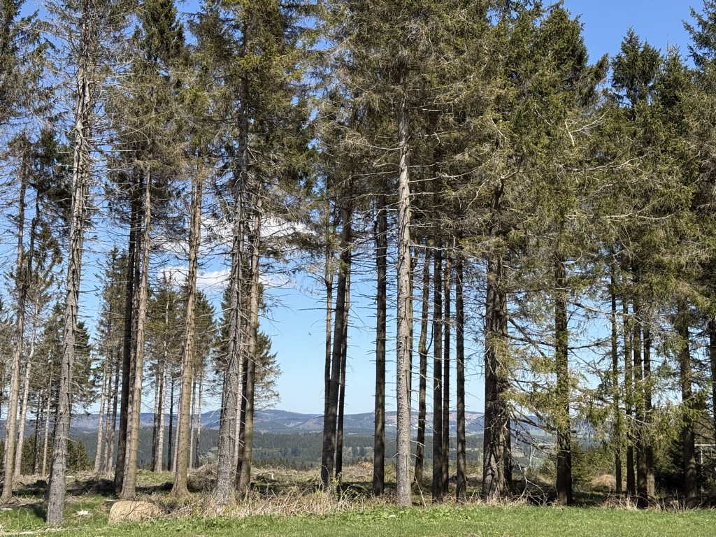 Photo №1 of Bremberg