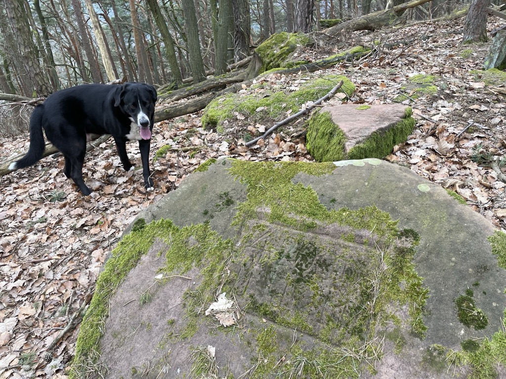 Photo №3 of Bretterkopf