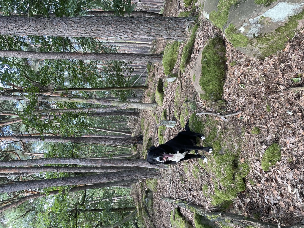 Photo №2 of Bretterkopf