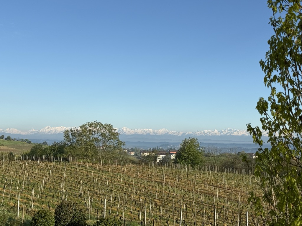 Photo №1 of Bric Sino