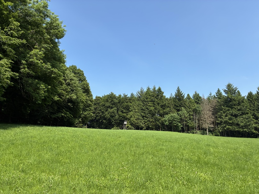 Photo №1 of Brucker Hölzle